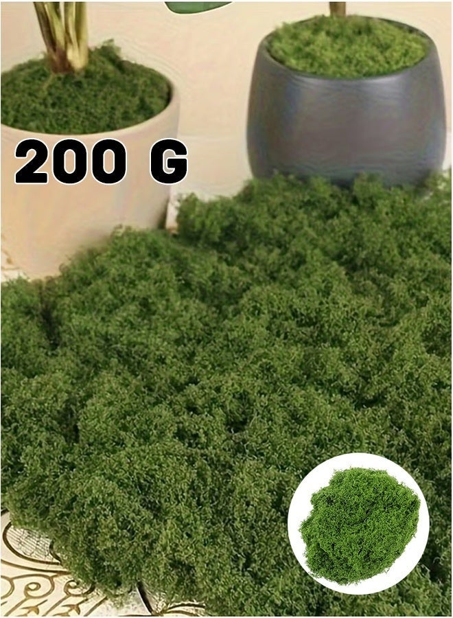 منزل الغابة 200 جرام من عشب الطحلب يحاكي تمامًا الطحالب الصناعية، العشب الأخضر المزيف للقطع المركزية لديكور حديقة المطبخ المنزلي، طحلب الغابة المحفوظ - Image 1